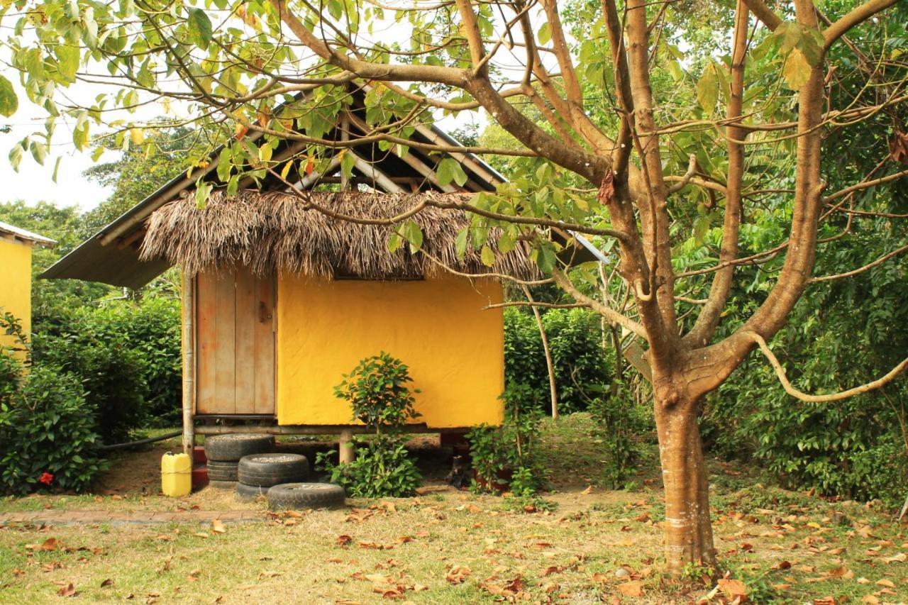 Maracumbo Lodge Mompiche Exteriör bild